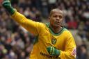 Robert Earnshaw represented both Norwich City and Cardiff in his career.