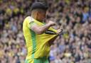 Marcelino Nunez is expected to miss a period of Norwich City's upcoming games through injury.