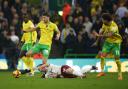 Norwich City have enjoyed a mixed start to the Championship campaign.