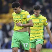 Gabby Sara and Marcelino Nunez are two of Norwich City's players linked with exits