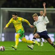 Borja Sainz (left) scored again as Norwich City drew 2-2 with Preston North End