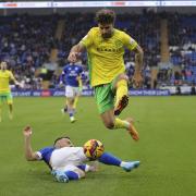 Emiliano Marcondes has backed Norwich City to emerge through their injury crisis.