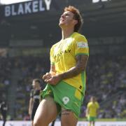 Josh Sargent missed Norwich City's 2-1 defeat at Cardiff with a groin injury