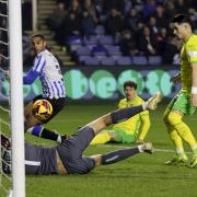 Borja Sainz had a goal disallowed for offside in Norwich City's 2-0 Championship defeat at Sheffield Wednesday