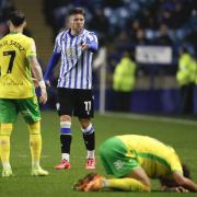 Norwich City have had a tough few days on the road at Cardiff and Sheffield Wednesday